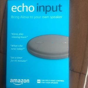 Echo input